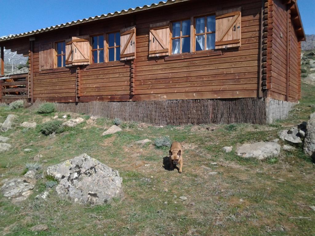 Les Chalets De Lozzi Calacuccia Exterior foto