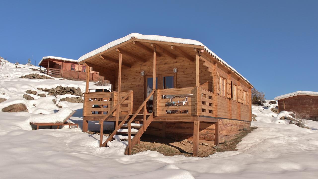 Les Chalets De Lozzi Calacuccia Exterior foto
