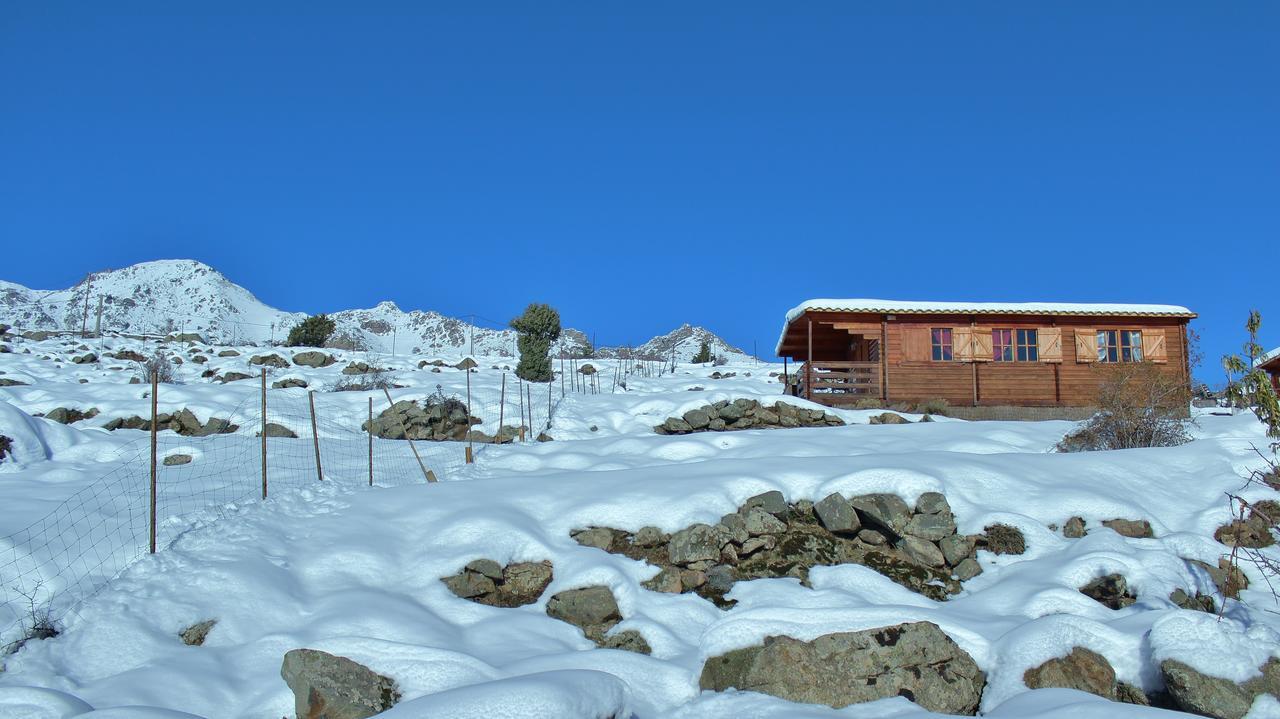 Les Chalets De Lozzi Calacuccia Exterior foto