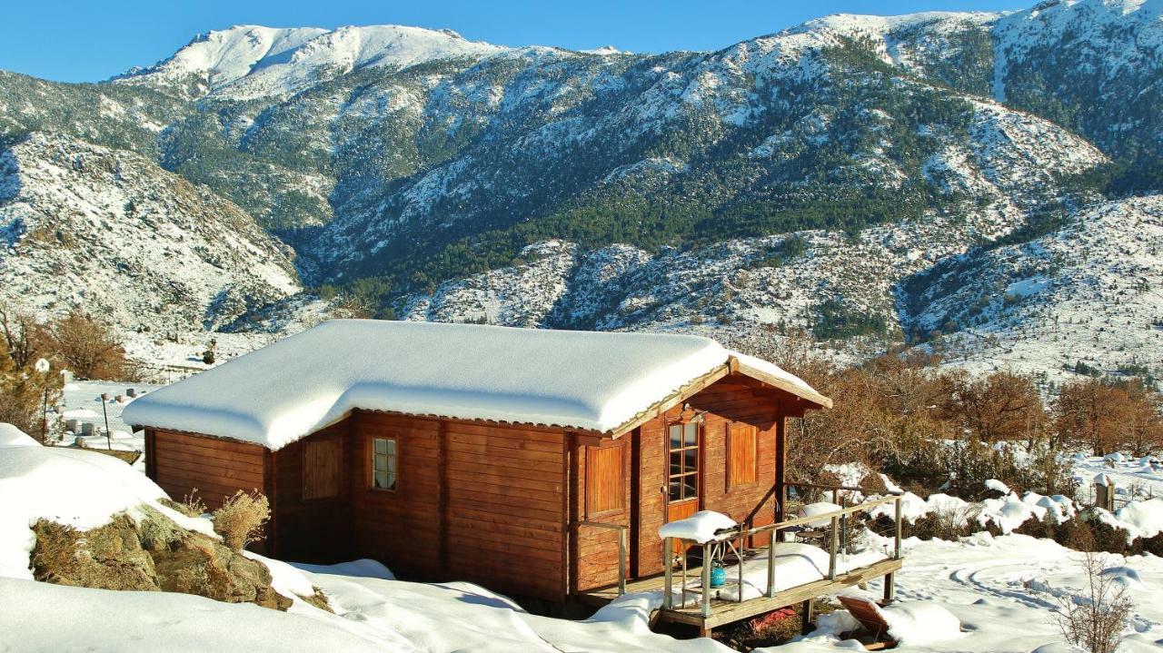 Les Chalets De Lozzi Calacuccia Exterior foto