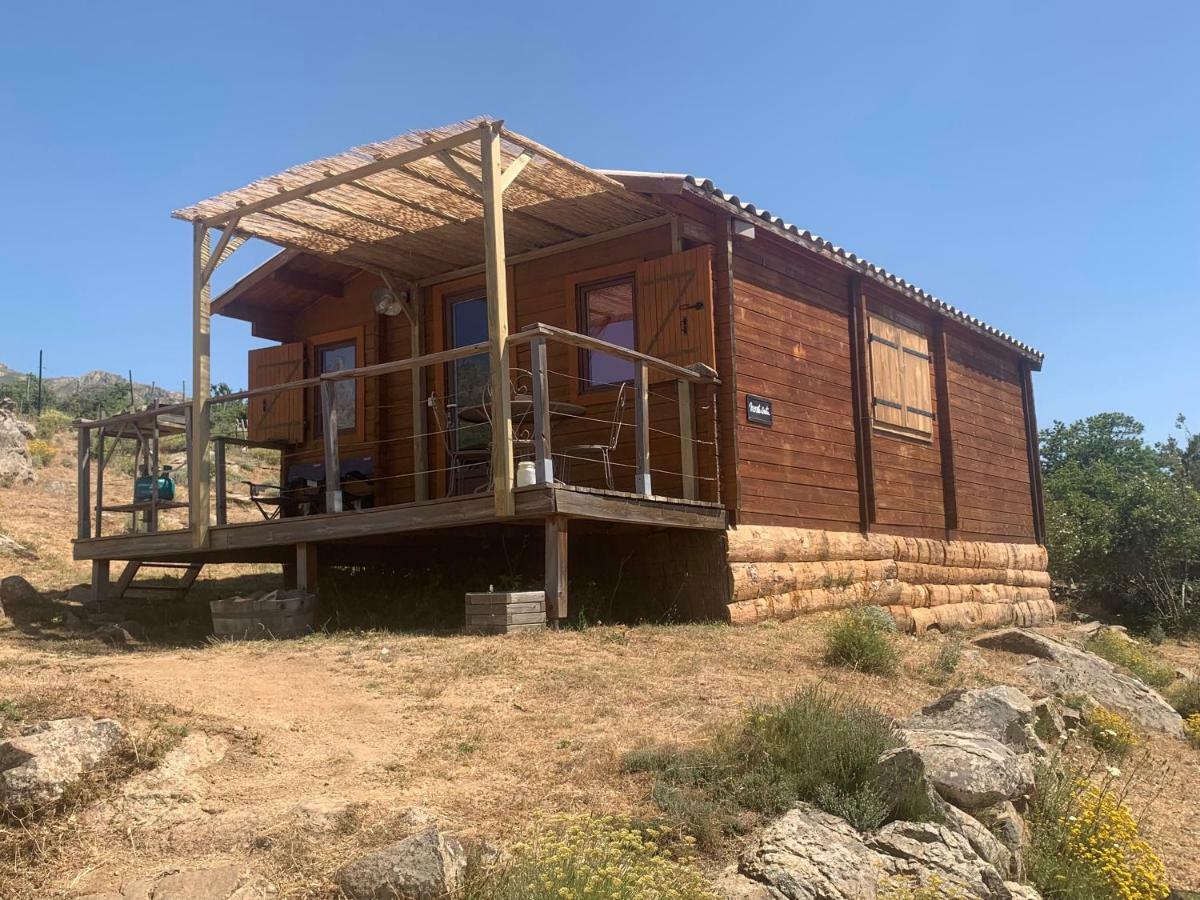 Les Chalets De Lozzi Calacuccia Exterior foto